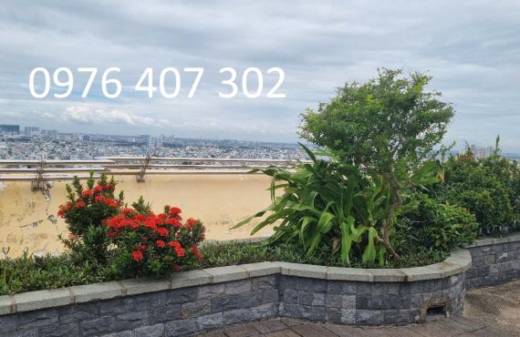 Căn hộ 81m2 tại Chung cư Hoàng Kim Thế Gia13