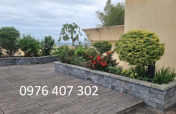 Căn hộ 81m2 tại Chung cư Hoàng Kim Thế Gia14